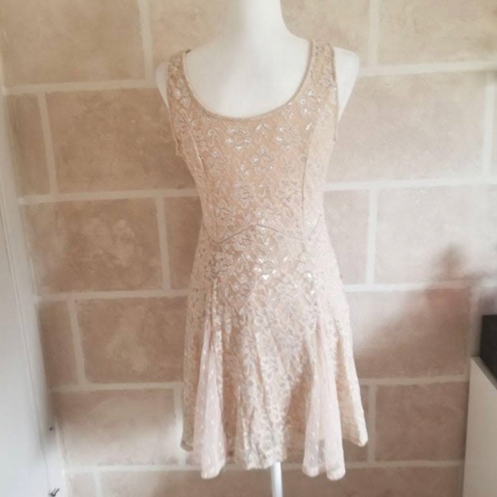 Blush Lace & Glitter Mini Dress XL